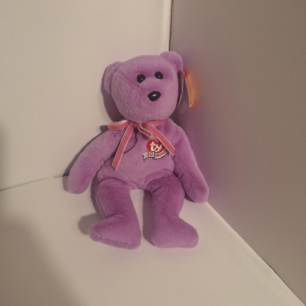 Purple Plush Teddy Bear